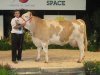 space2011 dallas